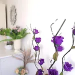 Suvenir Chic, A Fusion Of Modern, Elegance And Harmony Bucureşti
