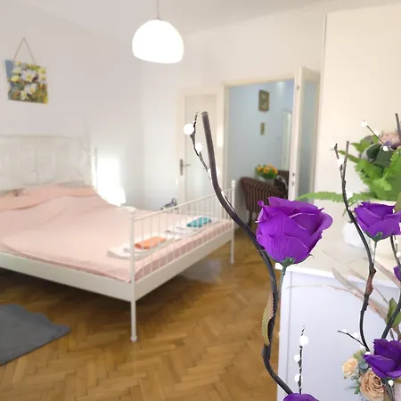 Suvenir Chic, A Fusion Of Modern, Elegance And Harmony *