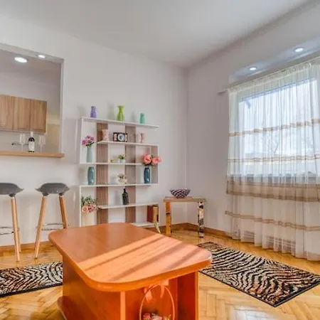 Suvenir Chic, A Fusion Of Modern, Elegance And Harmony